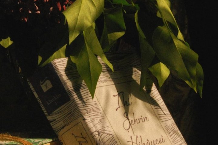 The Enduring Appeal of Frances Hodgson Burnett Books